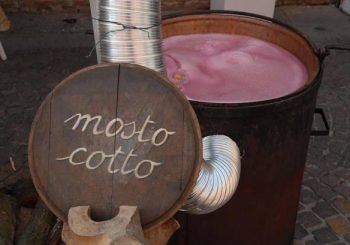 SAGRA DEL MOSTO COTTO